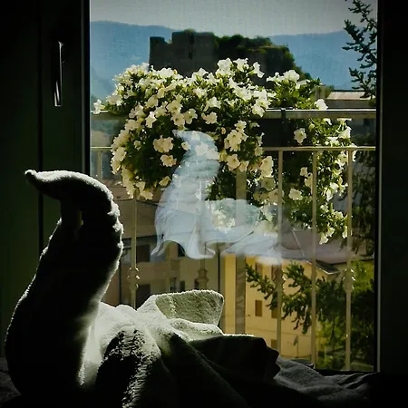 Beb Villareal Balvano