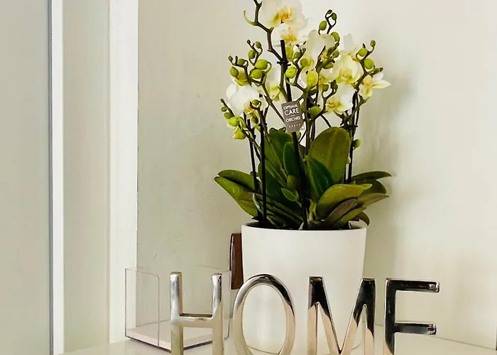 Oda ve Kahvaltı Beb Villareal Balvano